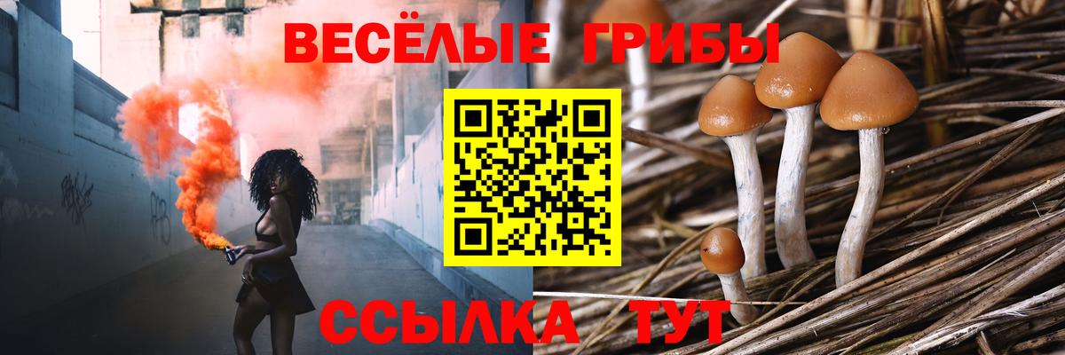 Галлюциногенные грибы Cubensis  Галлюциногенные грибы Psilocybine cubensis  Вход с VPN  Екатеринбург 